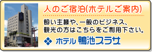 ホテル鴨池プラザ